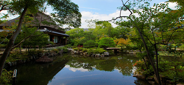 Meal while viewing a traditional Japanese garden